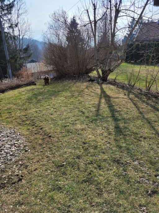 Appartement Le Flocon, Joli Petit Cocon 4 Pers En Rez De Jardin Draps Inclus 레루스 외부 사진